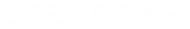 Openrise Logo